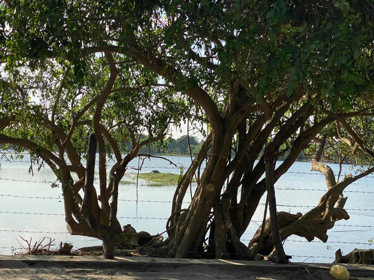 Yala Lake View Cabanas Tissamaharama Luaran gambar