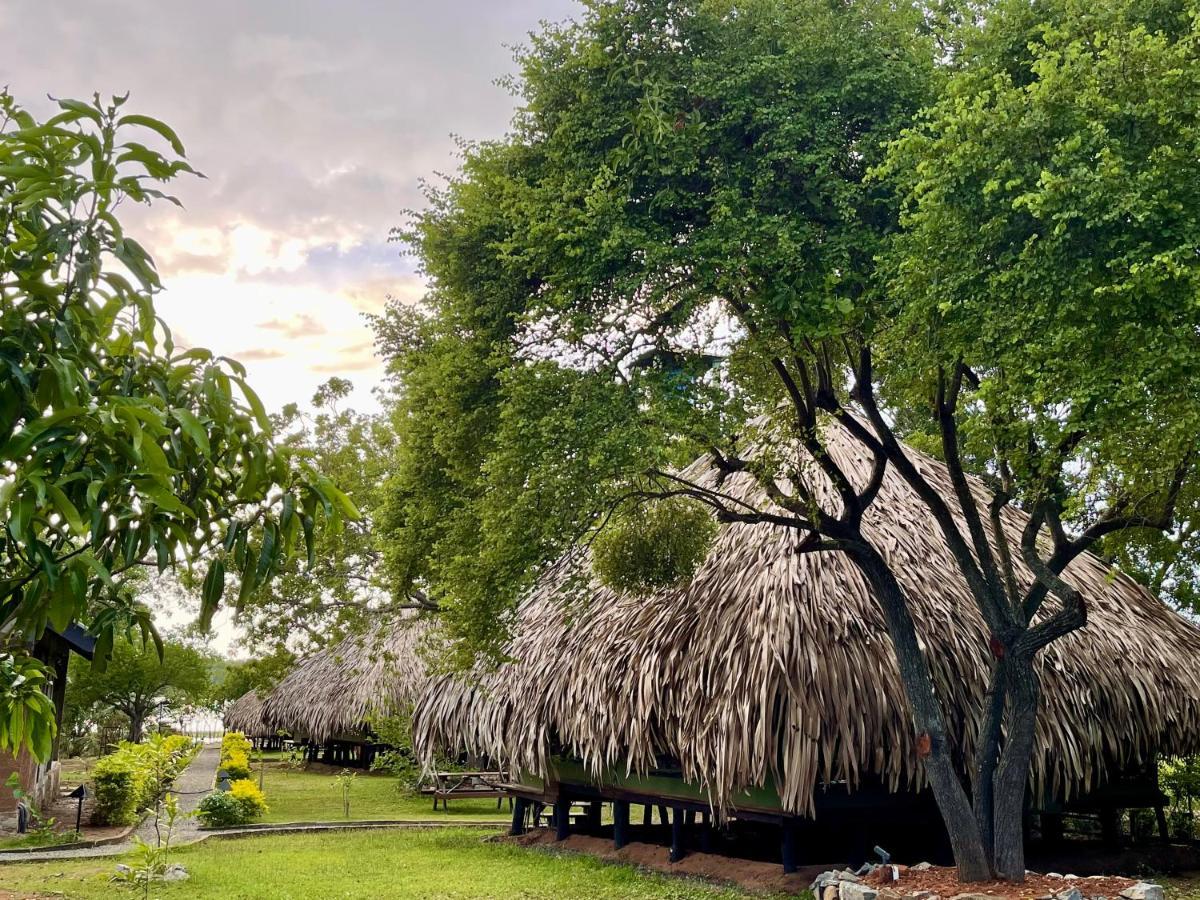 Yala Lake View Cabanas Tissamaharama Luaran gambar