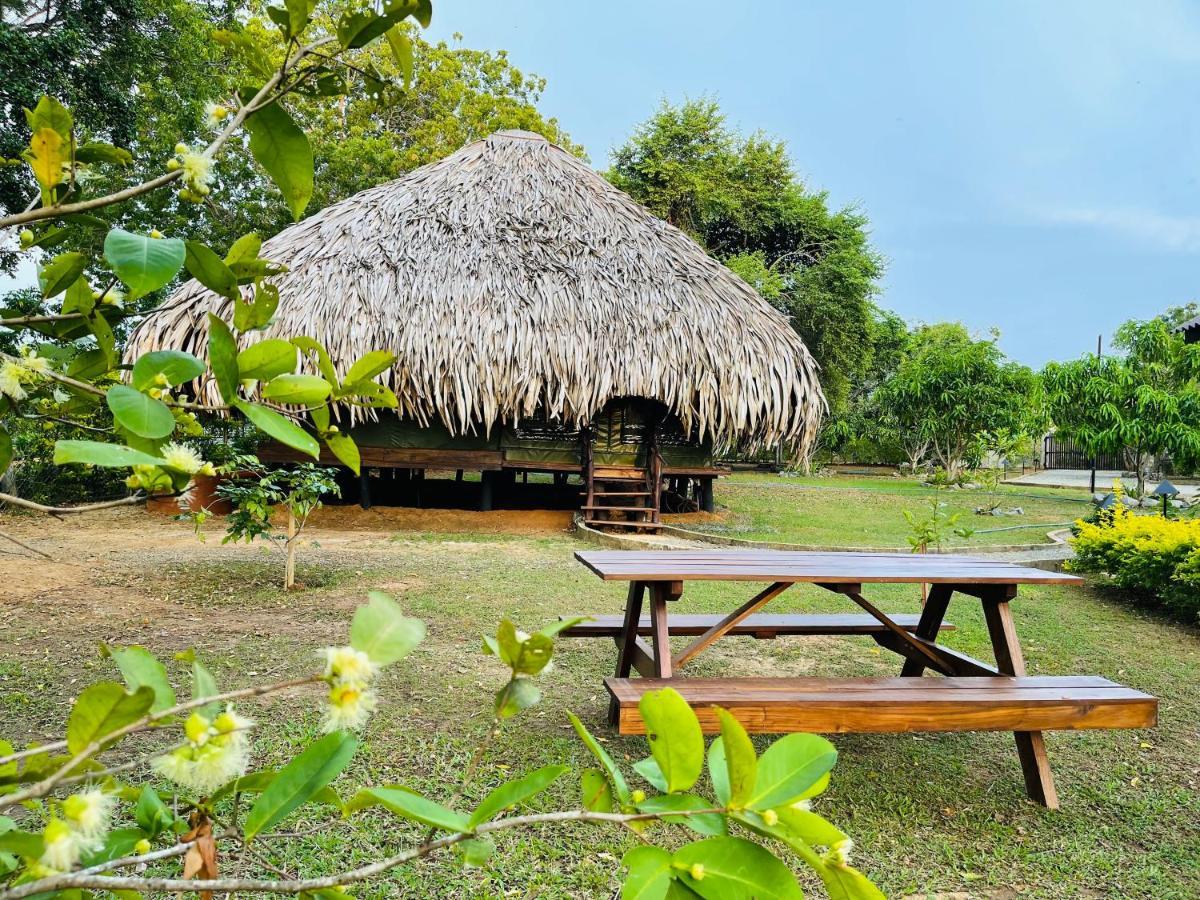 Yala Lake View Cabanas Tissamaharama Luaran gambar