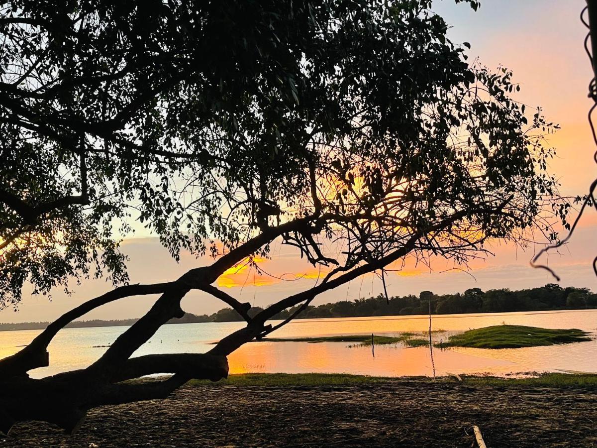 Yala Lake View Cabanas Tissamaharama Luaran gambar