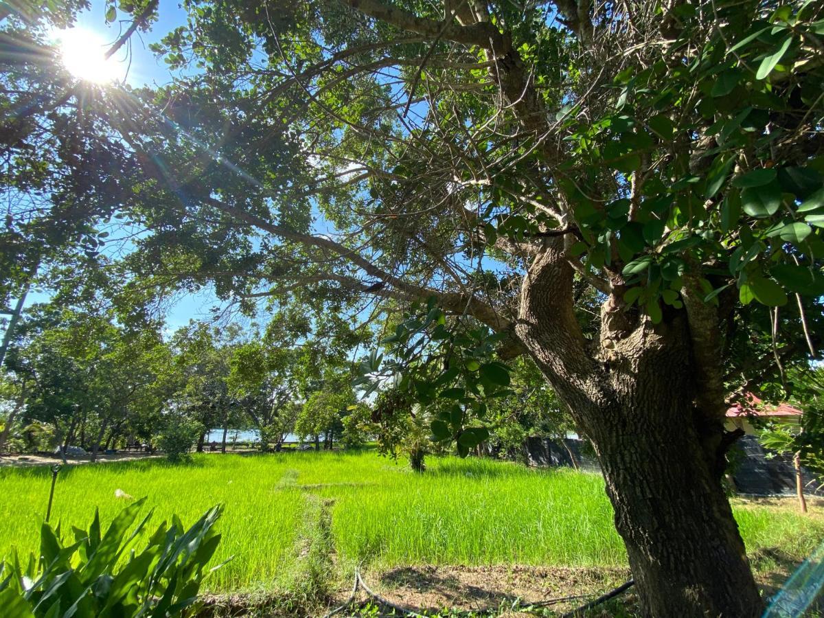 Yala Lake View Cabanas Tissamaharama Luaran gambar