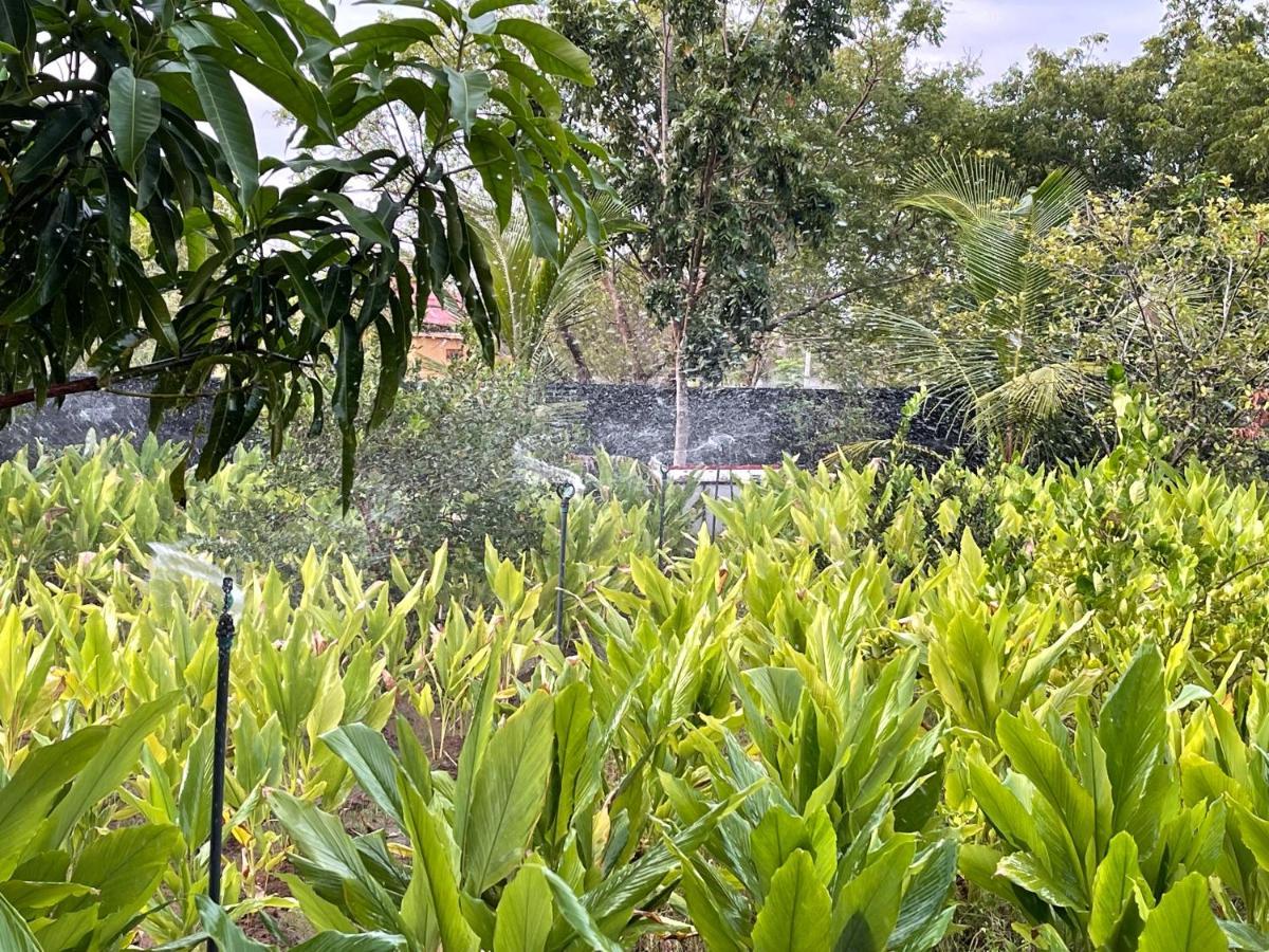 Yala Lake View Cabanas Tissamaharama Luaran gambar