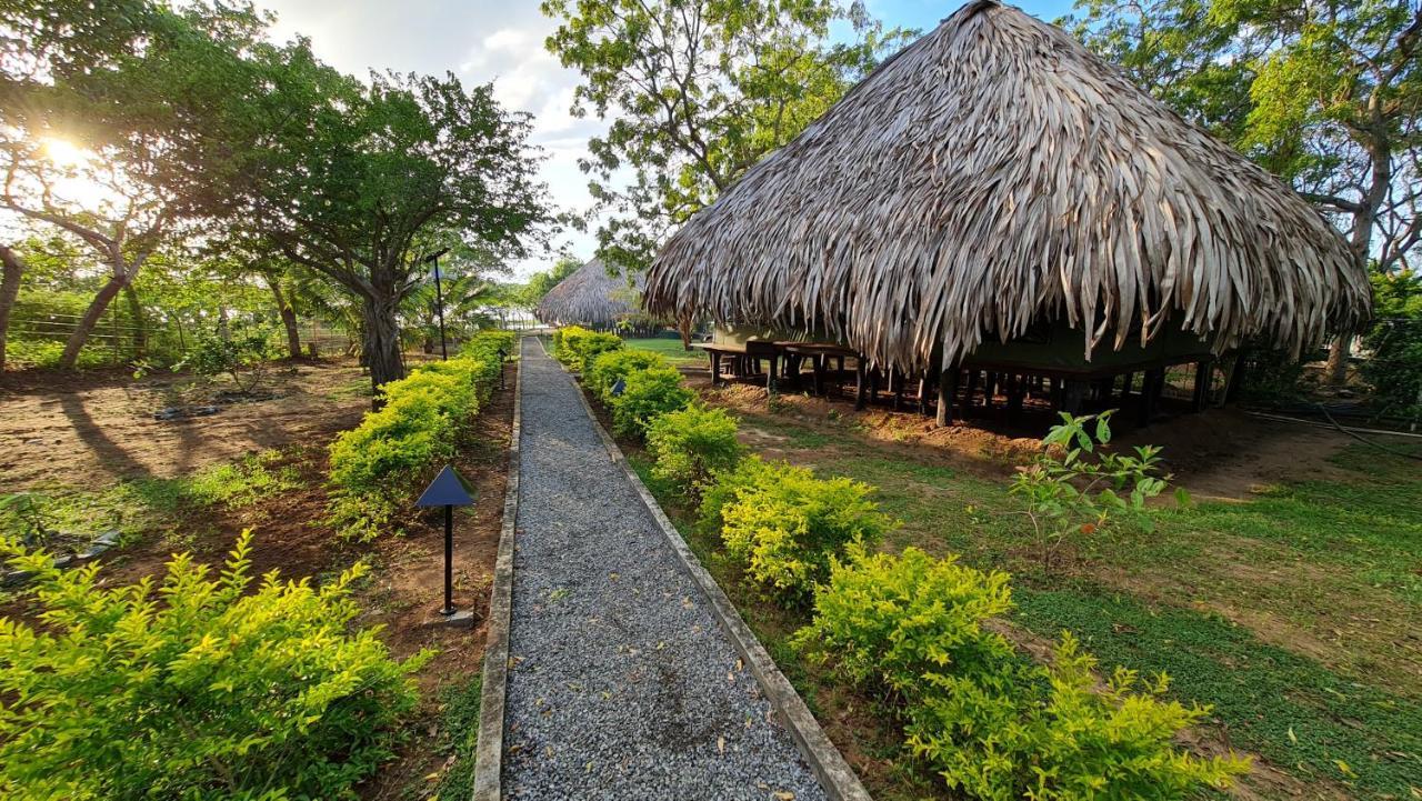 Yala Lake View Cabanas Tissamaharama Luaran gambar